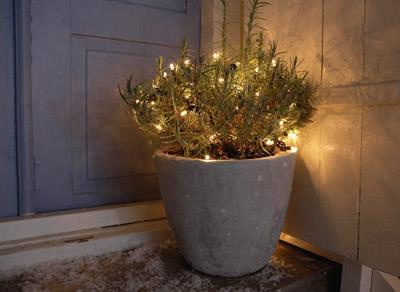 CHRISSLINE Original 50L LED Star Chain Lights