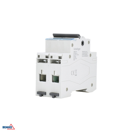 Interrupteur-sectionneur 2P 32A Schelinger