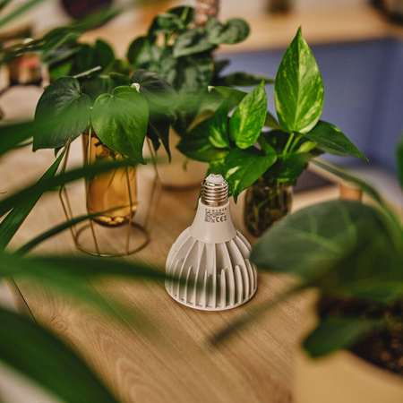 Lampe LED Luna blanc 20W 3000K 1600lm 36st E27 129x95mm Floluce