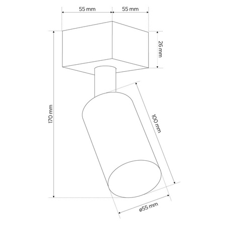 Plafonnier spot pour plafond GU10 noir MALGA 1 Edo Solutions