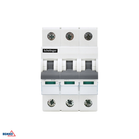 Interrupteur-sectionneur 3P 100A Schelinger