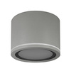 Luminaire de salle de bains UMA, GX53, IP54, en saillie, rond, gris EDO777541 EDO Solutions