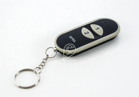 P-258/2 Télécommande à 2 touches Stiro Zamel