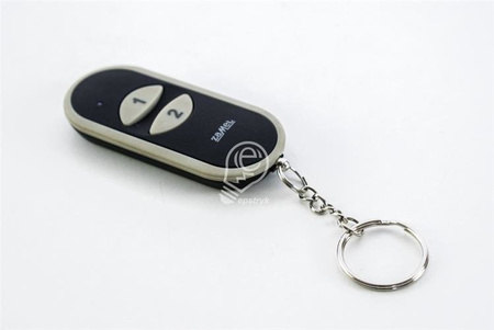 P-258/2 Télécommande à 2 touches Stiro Zamel