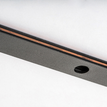 LiTrack Rail noir DC 24V