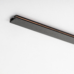 LiTrack Rail noir DC 24V