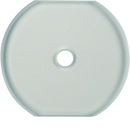 Glasserie Plaque centrale supérieure en verre pour interrupteur rotatif, clair Berker 1095