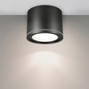 Luminaire de salle de bains UMA, GX53, IP54, montage apparent, rond, Anthracite, EDO777543 EDO Solutions