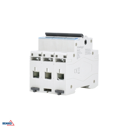 Interrupteur-sectionneur 3P 100A Schelinger