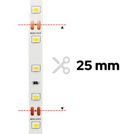 Ruban LED NASTRO SMD 10W/m 120LED/m 6000K dimmable IP22 12V DC 5m EDO777647 EDO